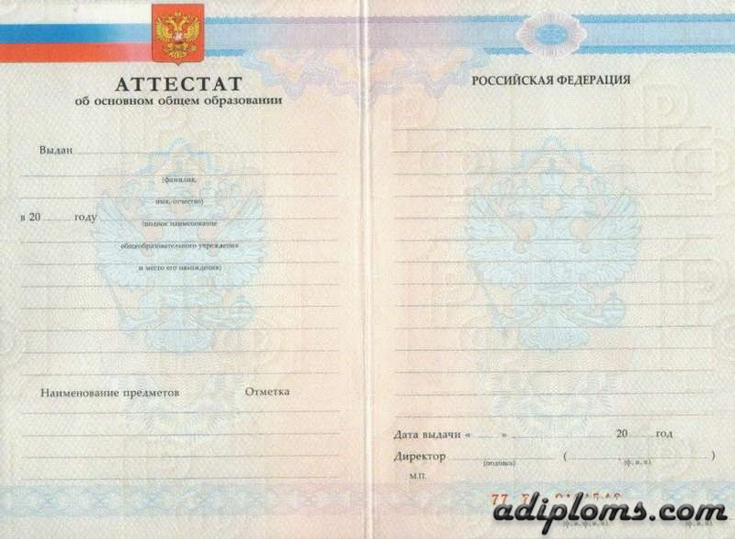 Аттестат 11 классов с приложением 2010 - 2013 года Аттестат 11 классов с приложением 2010 - 2013 года